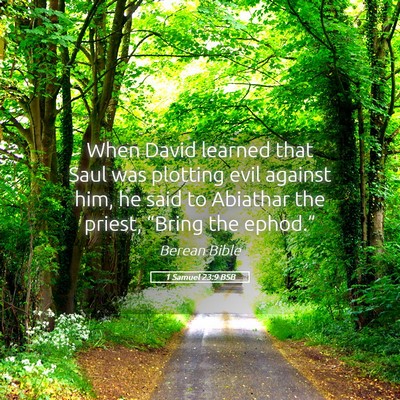 Picture 05 - 1 Samuel 23:9 BSB - When David learned that Saul was plotting evil - Bible Verse Picture