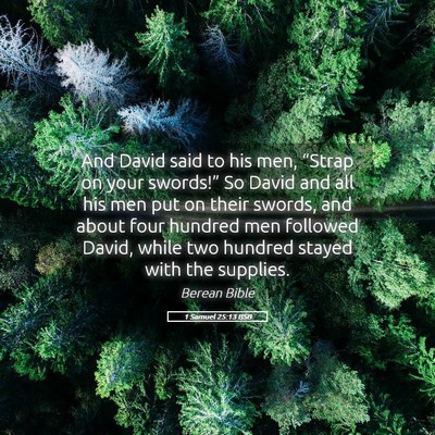 Picture 05 - 1 Samuel 25:13 BSB - And David said to his men, “Strap on your - Bible Verse Picture
