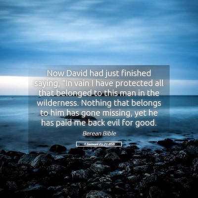 Picture 05 - 1 Samuel 25:21 BSB - Now David had just finished saying, “In vain I - Bible Verse Picture