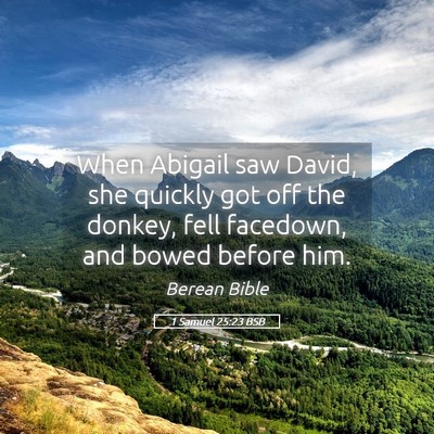 Picture 05 - 1 Samuel 25:23 BSB - When Abigail saw David, she quickly got off the - Bible Verse Picture