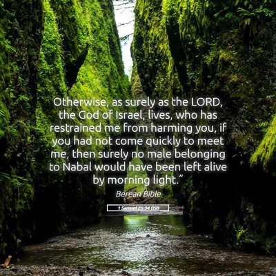 Picture 05 - 1 Samuel 25:34 BSB - Otherwise, as surely as the LORD, the God of - Bible Verse Picture