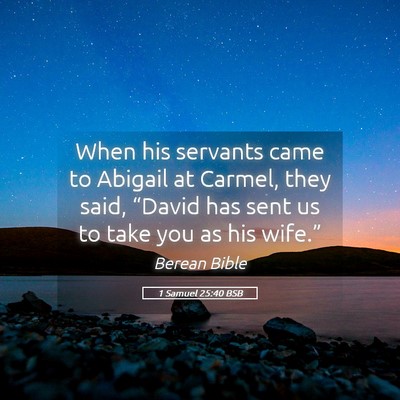 Picture 05 - 1 Samuel 25:40 BSB - When his servants came to Abigail at Carmel, they - Bible Verse Picture