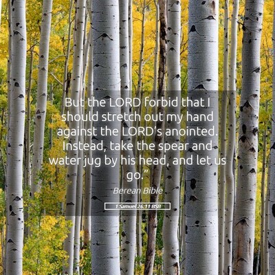 Picture 05 - 1 Samuel 26:11 BSB - But the LORD forbid that I should stretch out my - Bible Verse Picture