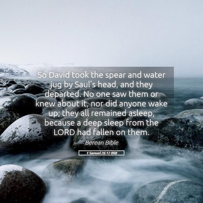 Picture 05 - 1 Samuel 26:12 BSB - So David took the spear and water jug by Saul’s - Bible Verse Picture