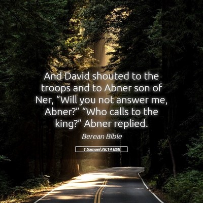Picture 05 - 1 Samuel 26:14 BSB - And David shouted to the troops and to Abner son - Bible Verse Picture