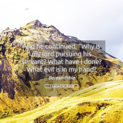 Picture 05 - 1 Samuel 26:18 BSB - And he continued, “Why is my lord pursuing his - Bible Verse Picture