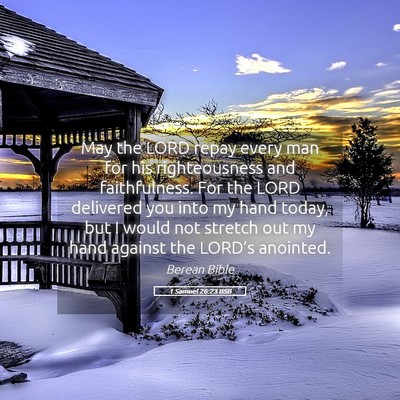 Picture 05 - 1 Samuel 26:23 BSB - May the LORD repay every man for his - Bible Verse Picture