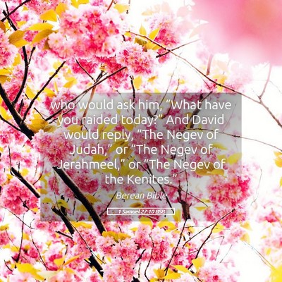 Picture 05 - 1 Samuel 27:10 BSB - who would ask him, “What have you raided - Bible Verse Picture