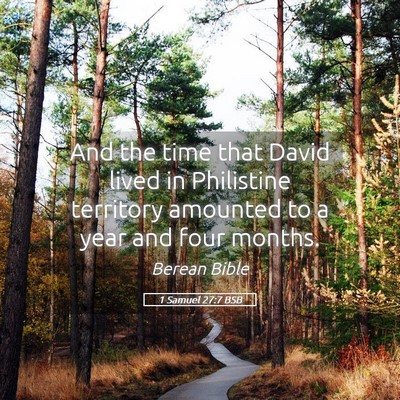 Picture 05 - 1 Samuel 27:7 BSB - And the time that David lived in Philistine - Bible Verse Picture
