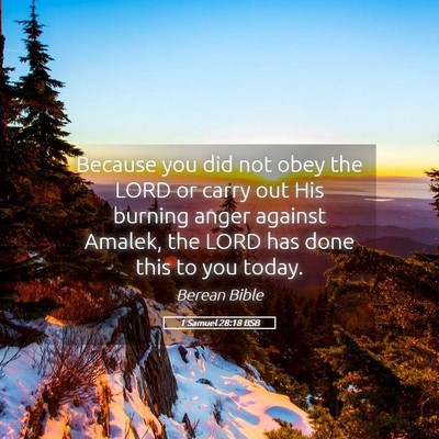 Picture 05 - 1 Samuel 28:18 BSB - Because you did not obey the LORD or carry out - Bible Verse Picture