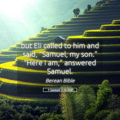 Picture 05 - 1 Samuel 3:16 BSB - but Eli called to him and said, “Samuel, my - Bible Verse Picture