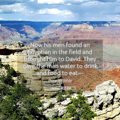 Picture 05 - 1 Samuel 30:11 BSB - Now his men found an Egyptian in the field and - Bible Verse Picture