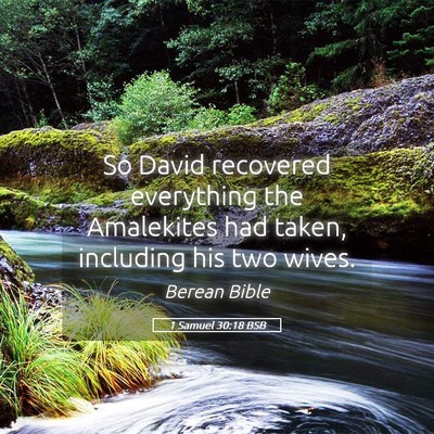Picture 05 - 1 Samuel 30:18 BSB - So David recovered everything the Amalekites had - Bible Verse Picture