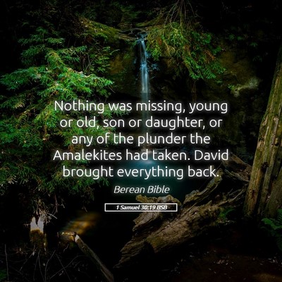 Picture 05 - 1 Samuel 30:19 BSB - Nothing was missing, young or old, son or - Bible Verse Picture
