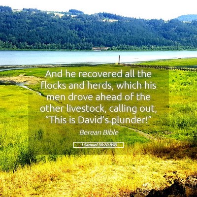 Picture 05 - 1 Samuel 30:20 BSB - And he recovered all the flocks and herds, which - Bible Verse Picture