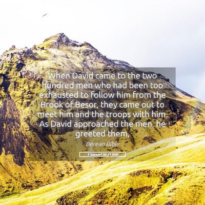 Picture 05 - 1 Samuel 30:21 BSB - When David came to the two hundred men who had - Bible Verse Picture