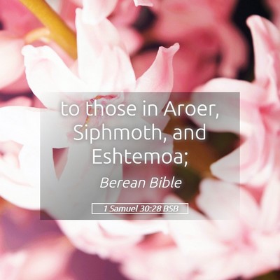 Picture 05 - 1 Samuel 30:28 BSB - to those in Aroer, Siphmoth, and - Bible Verse Picture