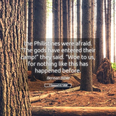 Picture 05 - 1 Samuel 4:7 BSB - the Philistines were afraid. “The gods have - Bible Verse Picture