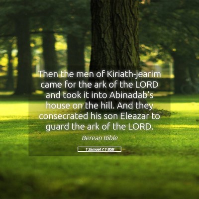 Picture 05 - 1 Samuel 7:1 BSB - Then the men of Kiriath-jearim came for the ark - Bible Verse Picture