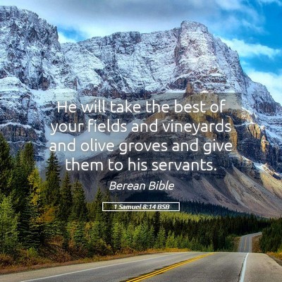 Picture 05 - 1 Samuel 8:14 BSB - He will take the best of your fields and - Bible Verse Picture
