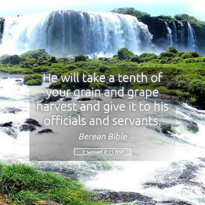 Picture 05 - 1 Samuel 8:15 BSB - He will take a tenth of your grain and grape - Bible Verse Picture