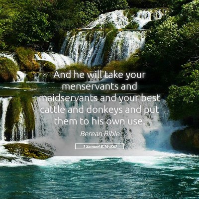 Picture 05 - 1 Samuel 8:16 BSB - And he will take your menservants and - Bible Verse Picture