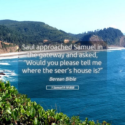 Picture 05 - 1 Samuel 9:18 BSB - Saul approached Samuel in the gateway and asked, - Bible Verse Picture