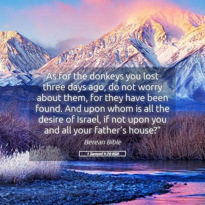 Picture 05 - 1 Samuel 9:20 BSB - As for the donkeys you lost three days ago, do - Bible Verse Picture