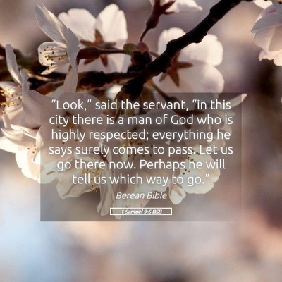 Picture 05 - 1 Samuel 9:6 BSB - “Look,” said the servant, “in this city - Bible Verse Picture