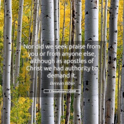 Picture 05 - 1 Thessalonians 2:6 BSB - Nor did we seek praise from you or from anyone - Bible Verse Picture