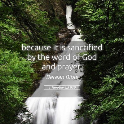 Picture 05 - 1 Timothy 4:5 BSB - because it is sanctified by the word of God and - Bible Verse Picture