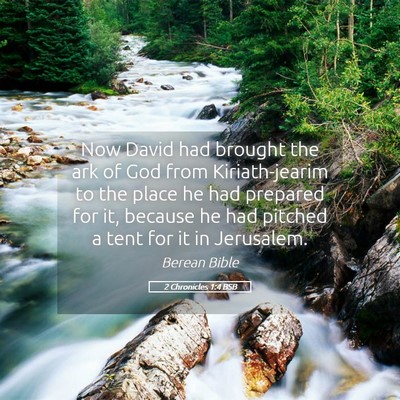 Picture 05 - 2 Chronicles 1:4 BSB - Now David had brought the ark of God from - Bible Verse Picture