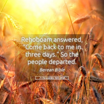 Picture 05 - 2 Chronicles 10:5 BSB - Rehoboam answered, “Come back to me in three - Bible Verse Picture