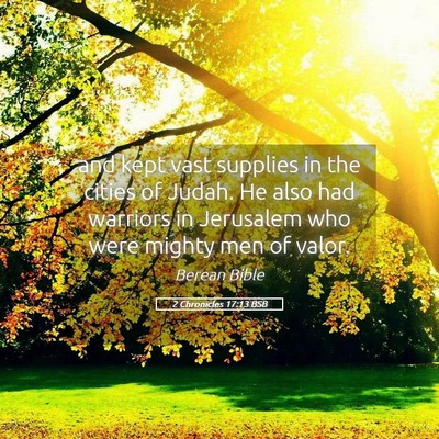 Picture 05 - 2 Chronicles 17:13 BSB - and kept vast supplies in the cities of Judah. He - Bible Verse Picture