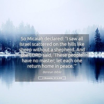 Picture 05 - 2 Chronicles 18:16 BSB - So Micaiah declared: “I saw all Israel - Bible Verse Picture