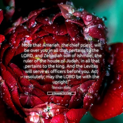 Picture 05 - 2 Chronicles 19:11 BSB - Note that Amariah, the chief priest, will be over - Bible Verse Picture