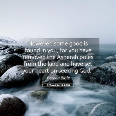 Picture 05 - 2 Chronicles 19:3 BSB - However, some good is found in you, for you have - Bible Verse Picture