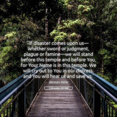 Picture 05 - 2 Chronicles 20:9 BSB - ‘If disaster comes upon us—whether sword or - Bible Verse Picture