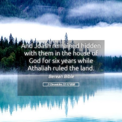 Picture 05 - 2 Chronicles 22:12 BSB - And Joash remained hidden with them in the house - Bible Verse Picture