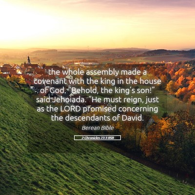 Picture 05 - 2 Chronicles 23:3 BSB - the whole assembly made a covenant with the king - Bible Verse Picture