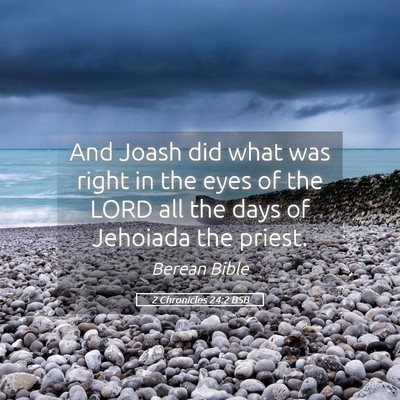 Picture 05 - 2 Chronicles 24:2 BSB - And Joash did what was right in the eyes of the - Bible Verse Picture