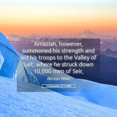 Picture 05 - 2 Chronicles 25:11 BSB - Amaziah, however, summoned his strength and led - Bible Verse Picture
