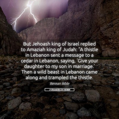 Picture 05 - 2 Chronicles 25:18 BSB - But Jehoash king of Israel replied to Amaziah - Bible Verse Picture
