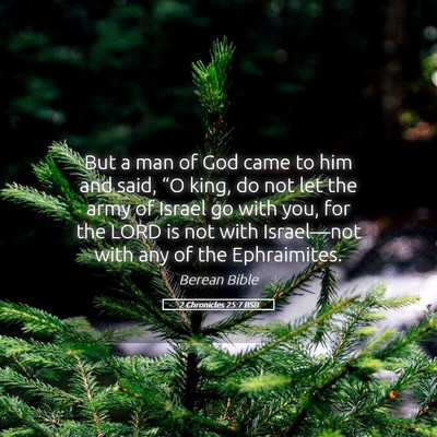 Picture 05 - 2 Chronicles 25:7 BSB - But a man of God came to him and said, “O king, - Bible Verse Picture