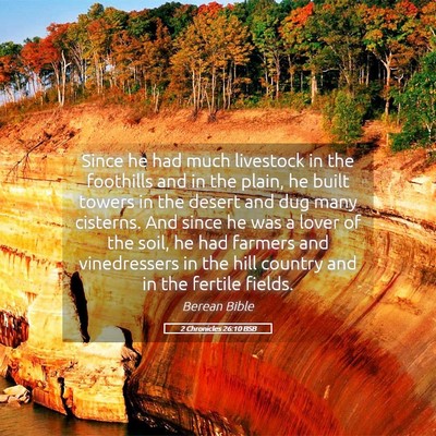 Picture 05 - 2 Chronicles 26:10 BSB - Since he had much livestock in the foothills and - Bible Verse Picture