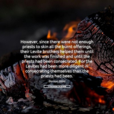 Picture 05 - 2 Chronicles 29:34 BSB - However, since there were not enough priests to - Bible Verse Picture