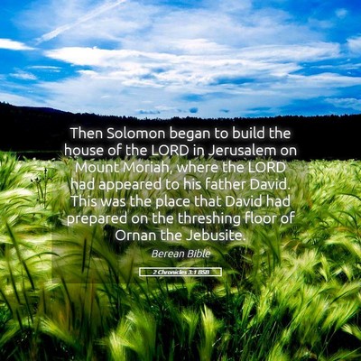 Picture 05 - 2 Chronicles 3:1 BSB - Then Solomon began to build the house of the LORD - Bible Verse Picture