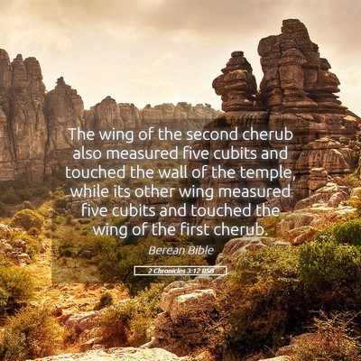 Picture 05 - 2 Chronicles 3:12 BSB - The wing of the second cherub also measured five - Bible Verse Picture