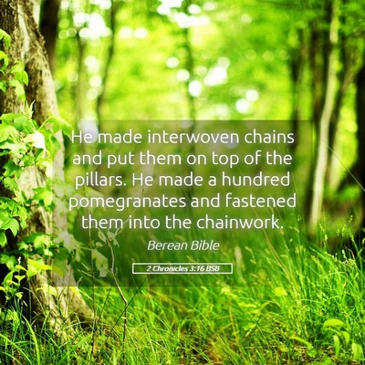 Picture 05 - 2 Chronicles 3:16 BSB - He made interwoven chains and put them on top of - Bible Verse Picture