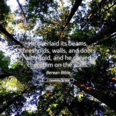 Picture 05 - 2 Chronicles 3:7 BSB - He overlaid its beams, thresholds, walls, and - Bible Verse Picture